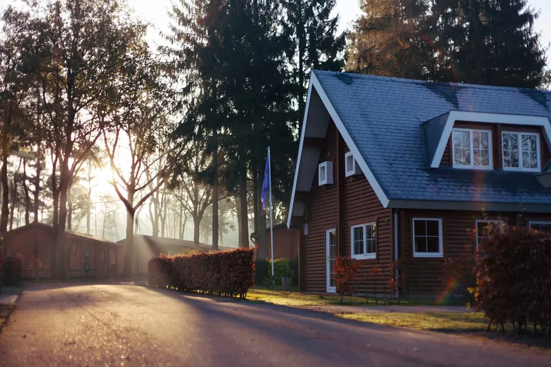 Timber house with a slate roof among pine trees as low sun breaks across the road